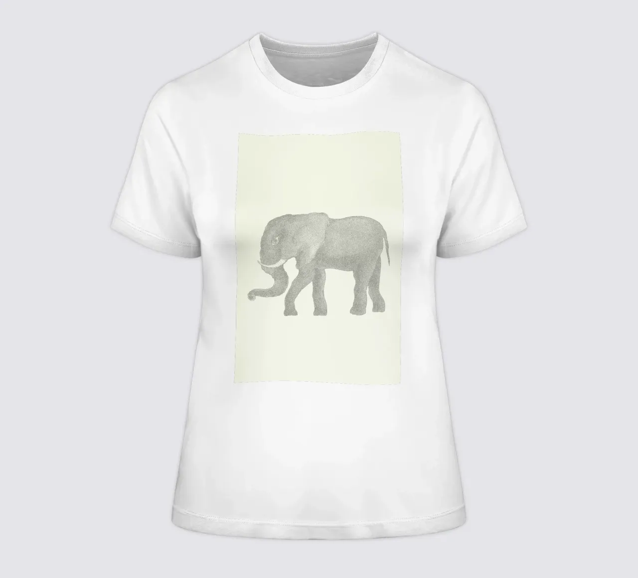 Elephant women's fitted t-shirt by Flora & Fauna