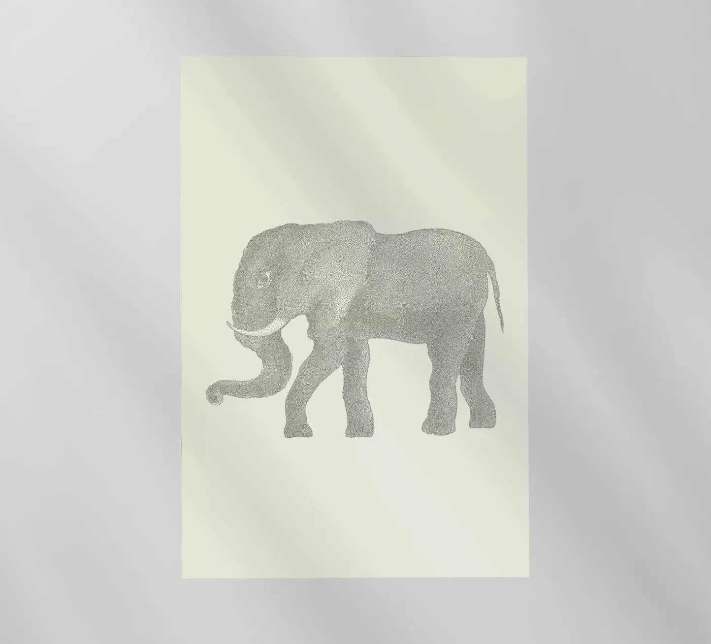 Elephant pellicola backlit da Flora & Fauna