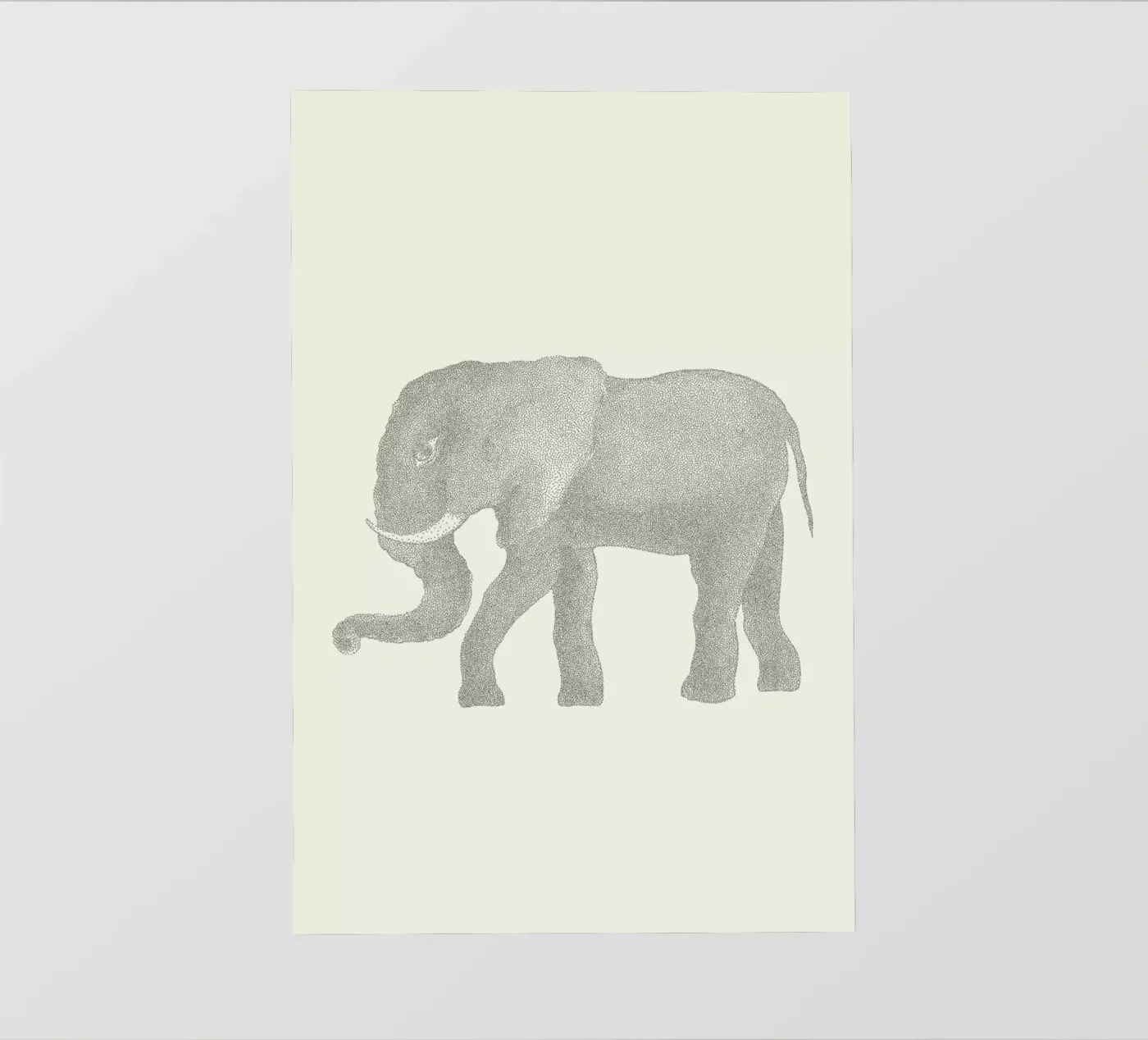 Elephant pellicola backlit da Flora & Fauna
