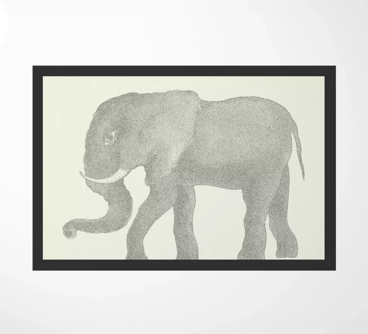 Elephant zerbino da Flora & Fauna