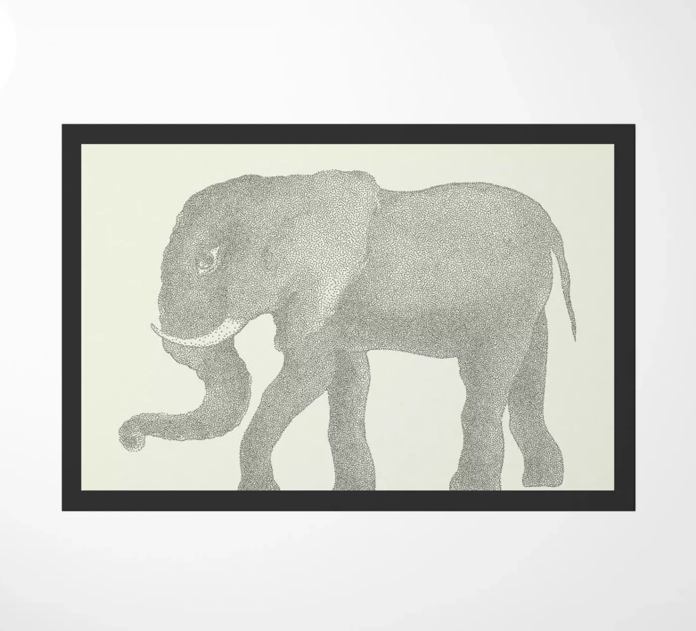 Elephant zerbino da Flora & Fauna