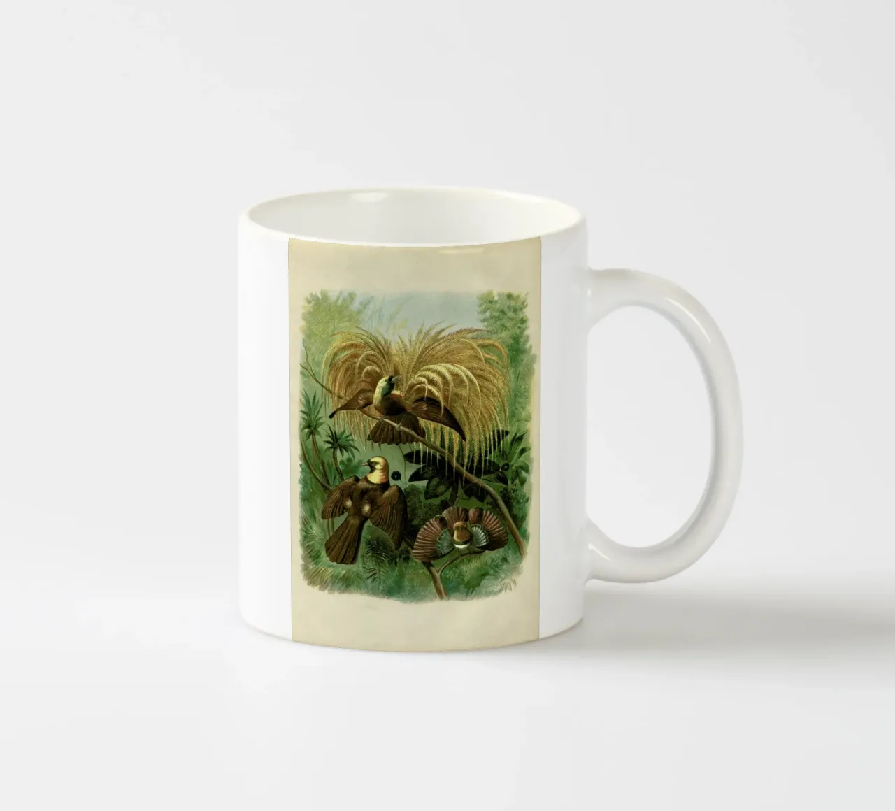 Birds of Paradise tazza in ceramica da Flora & Fauna
