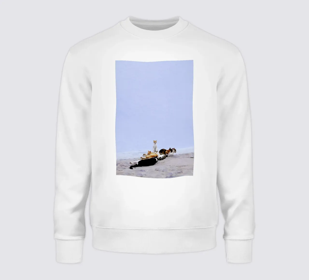 Nap Guard felpa da Rupert Höller