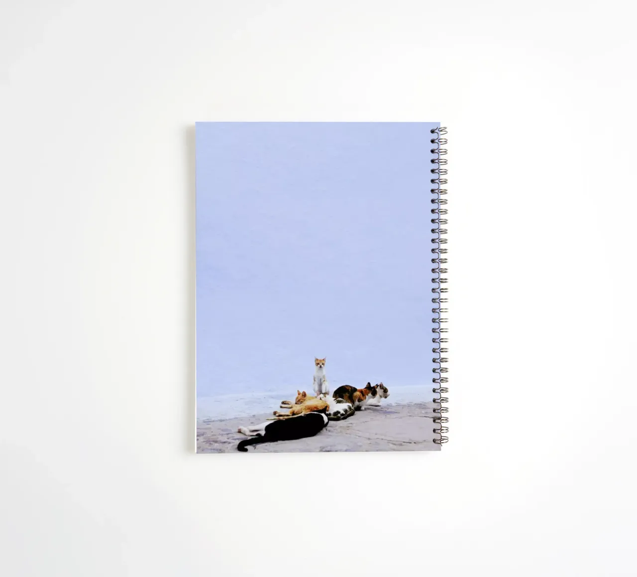 Nap Guard spiral notebook by Rupert Höller
