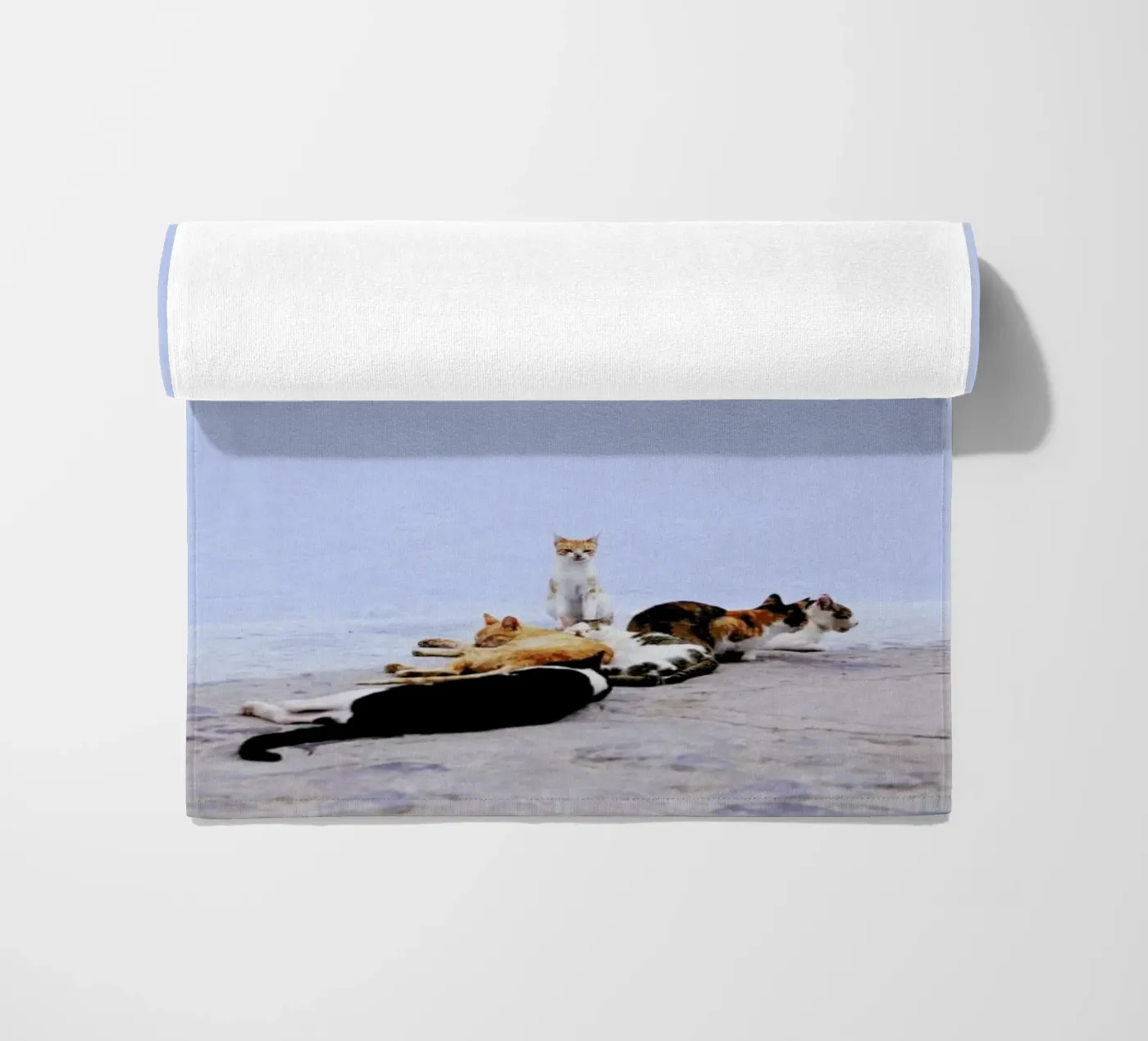 Nap Guard telo mare da Rupert Höller