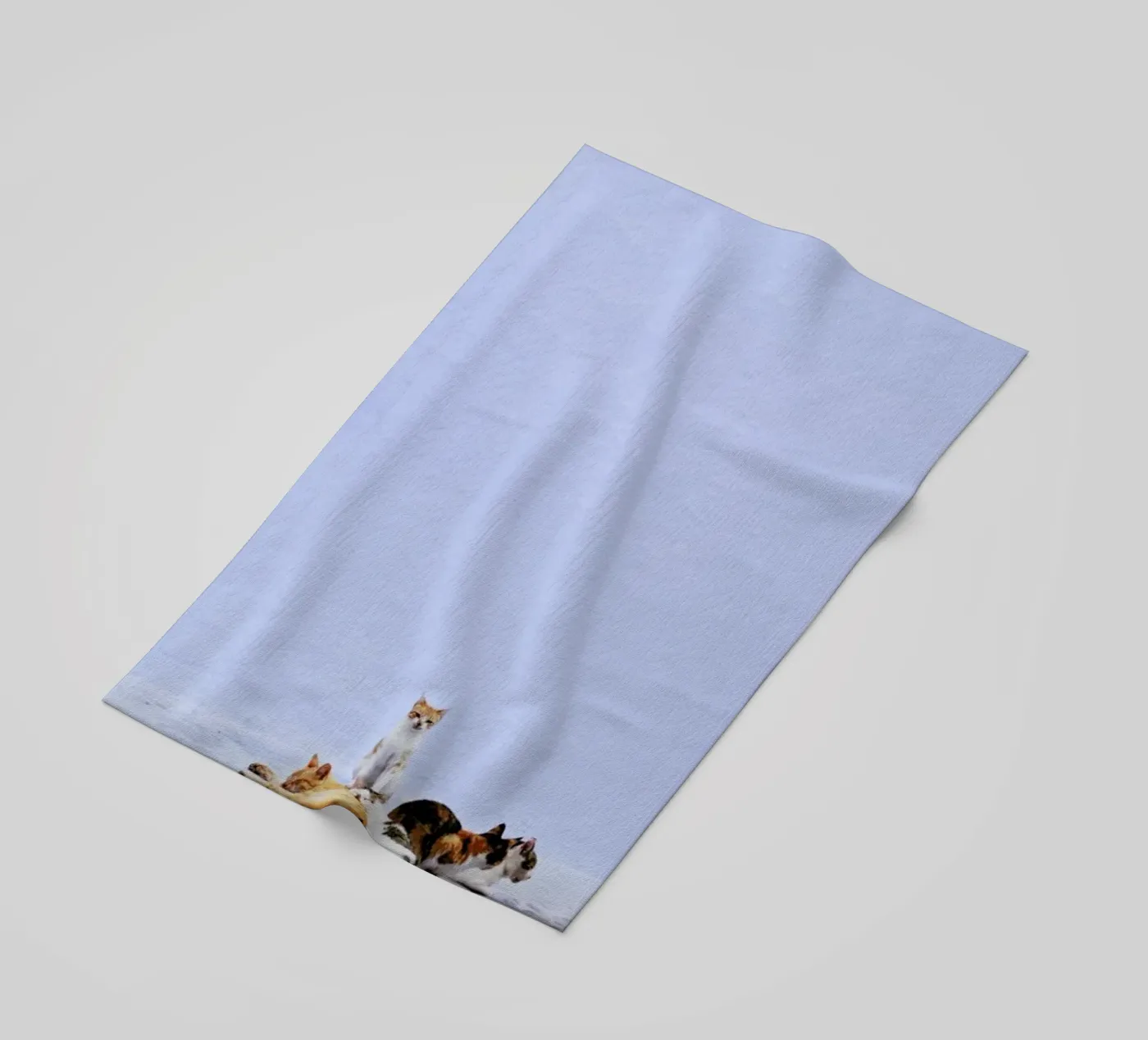 Nap Guard telo mare da Rupert Höller