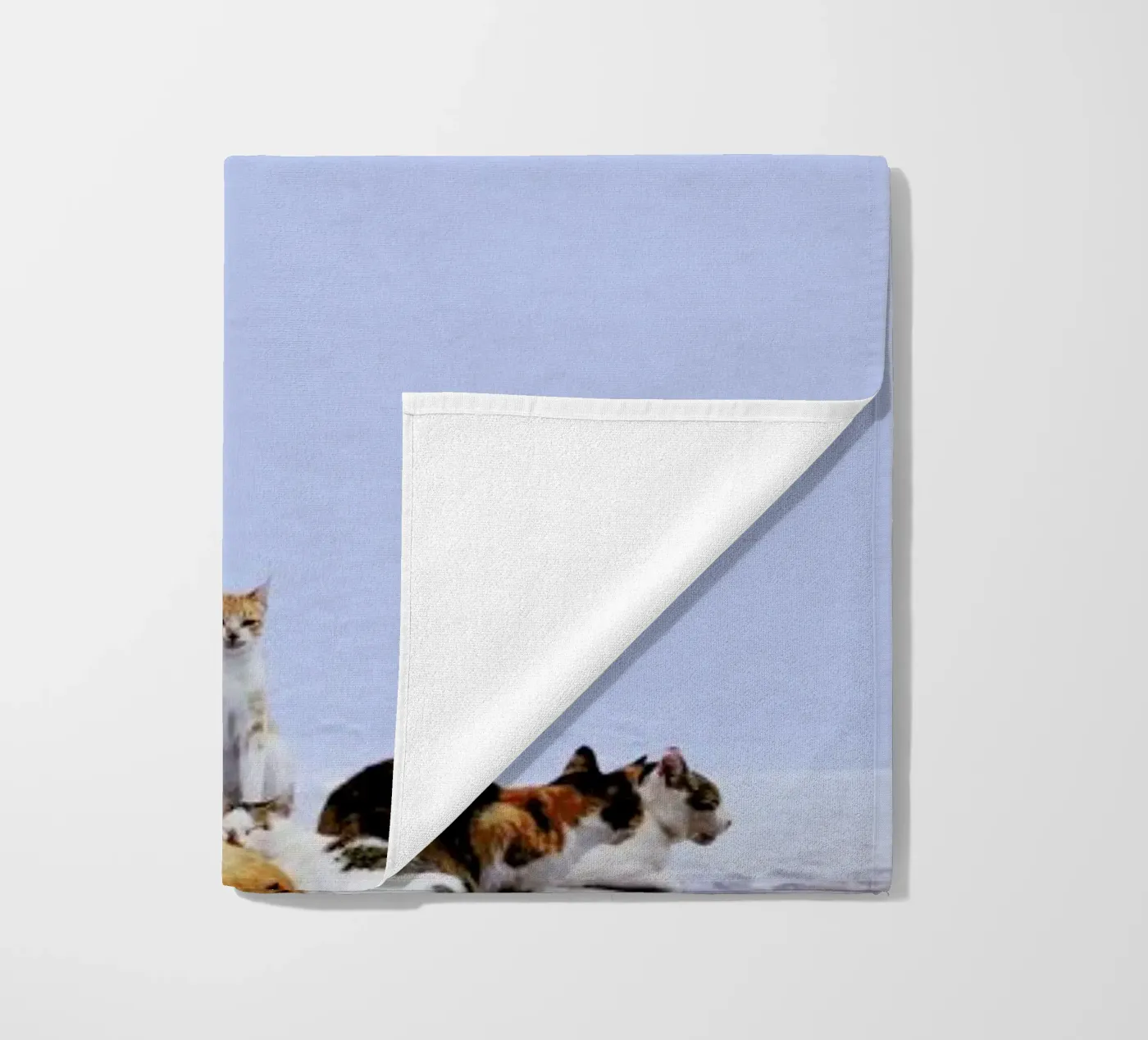 Nap Guard telo mare da Rupert Höller