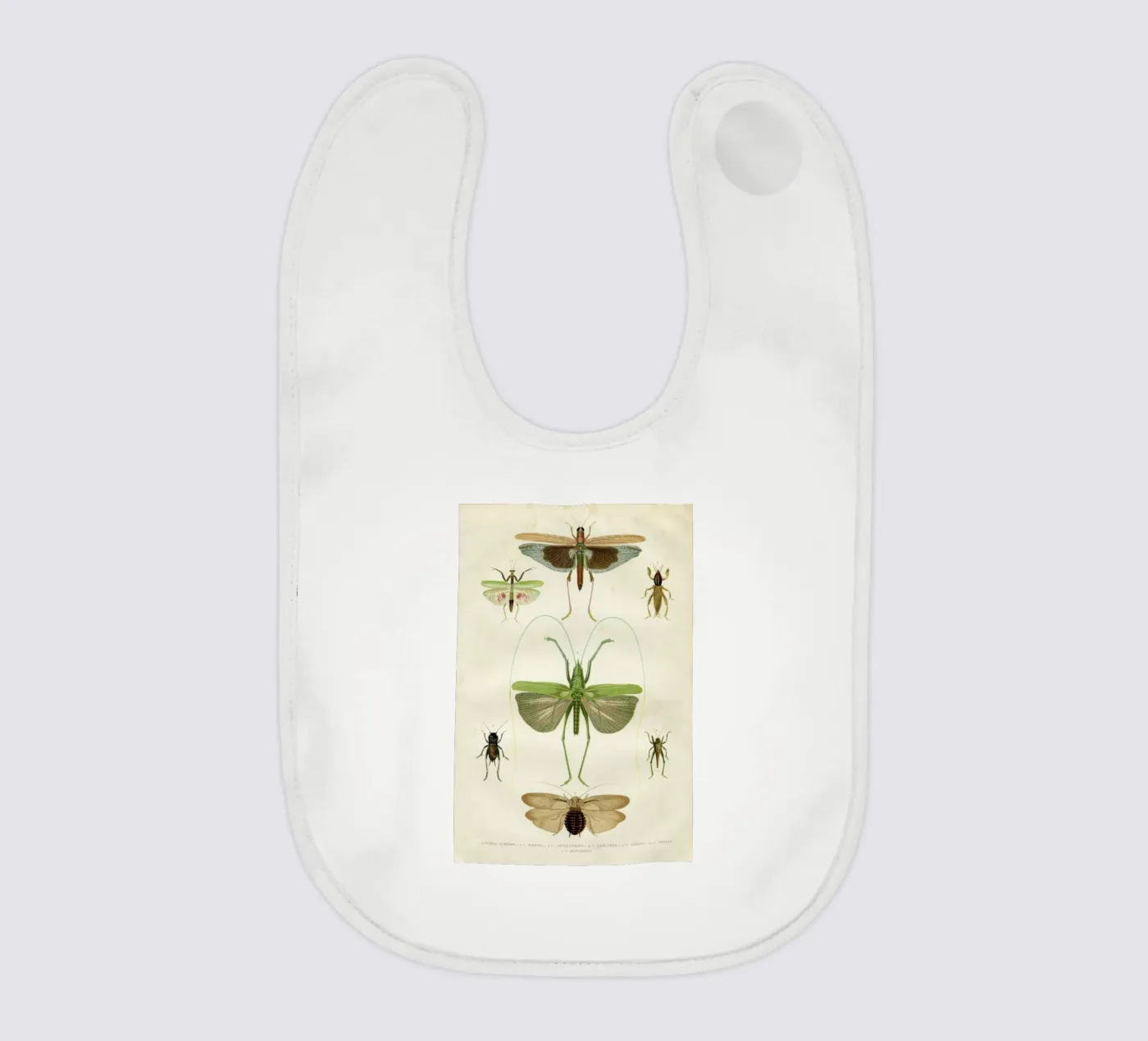 Insects bavoir de Flora & Fauna