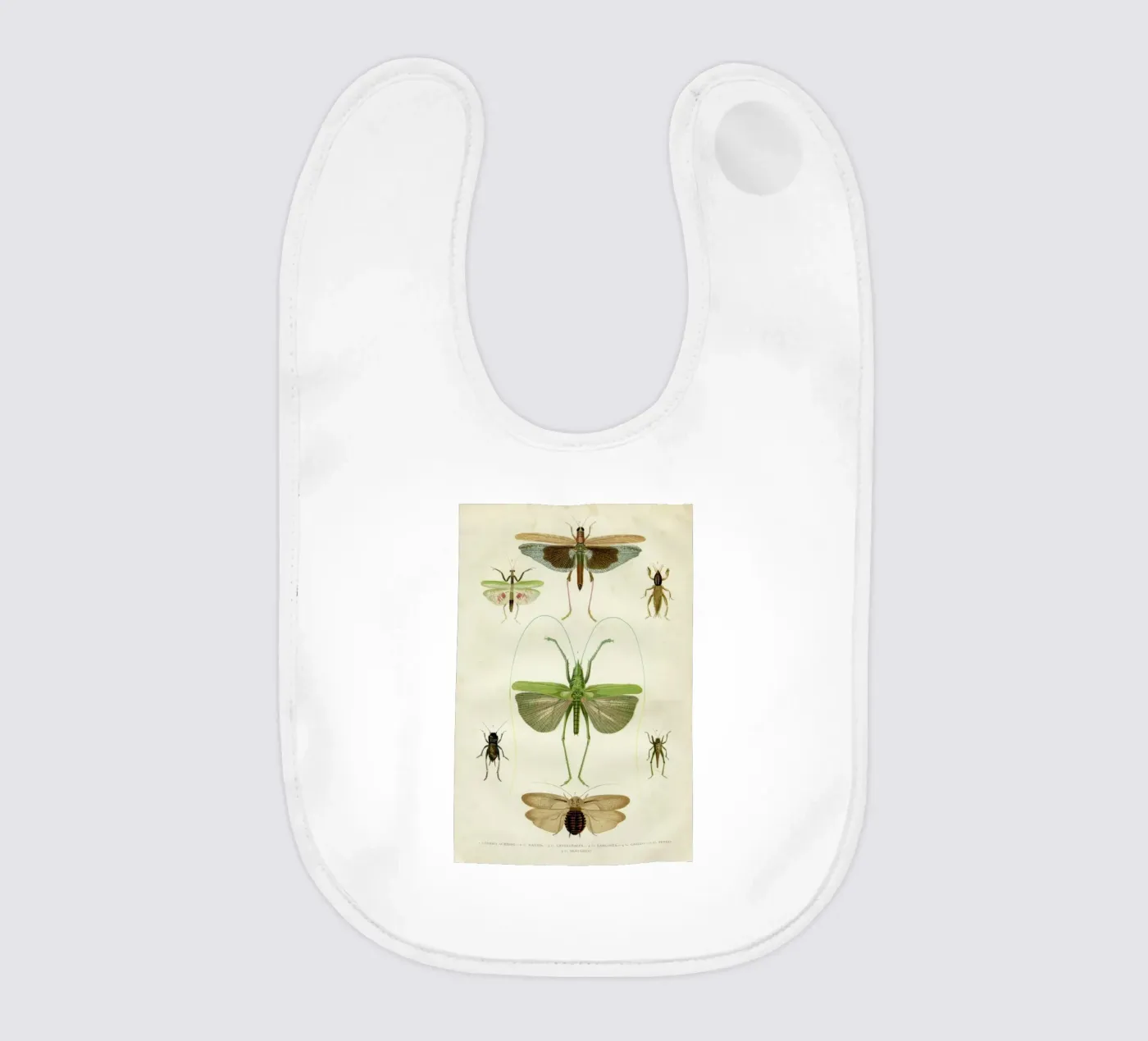 Insects bavoir de Flora & Fauna