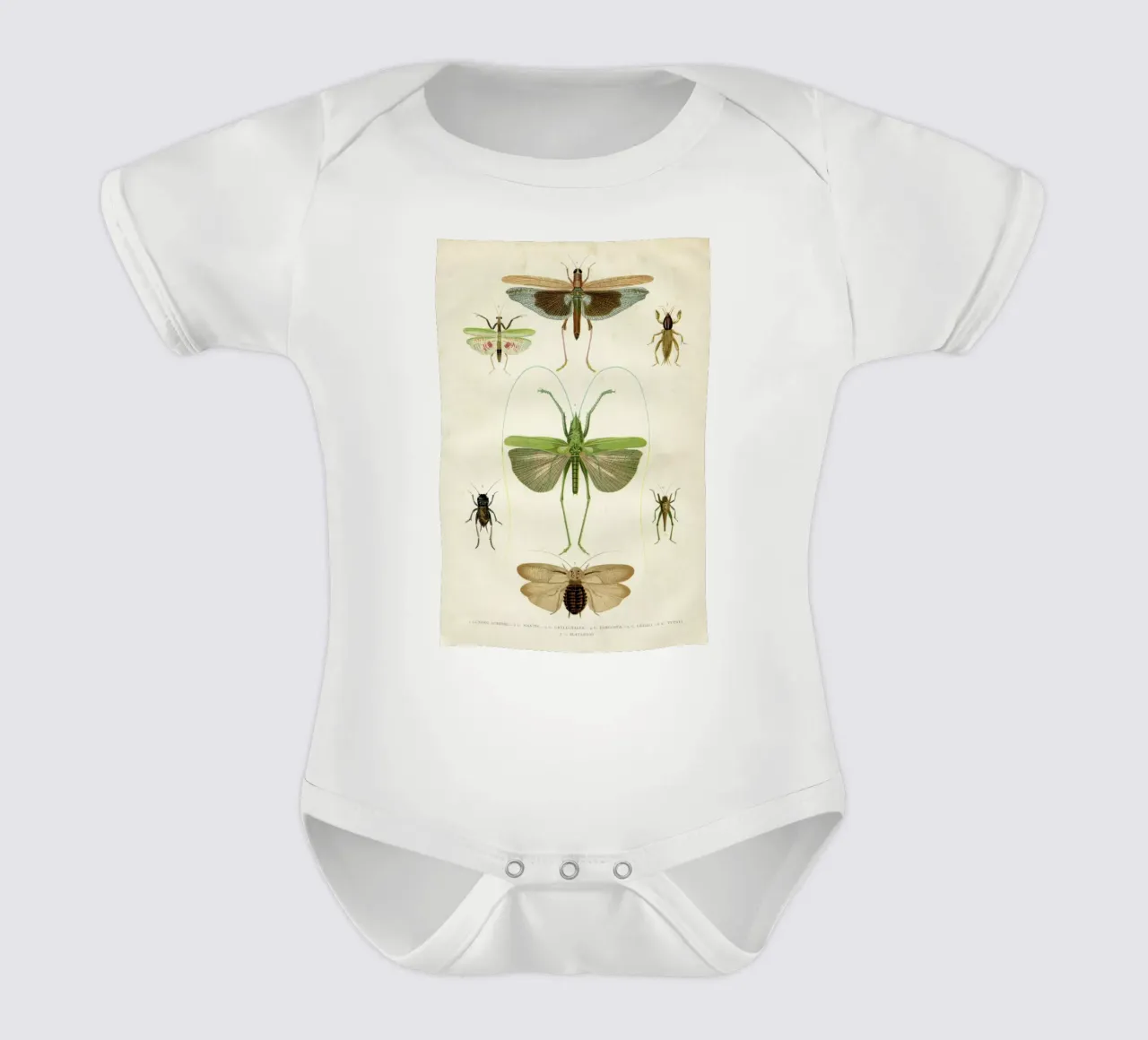 Insects body bébé de Flora & Fauna