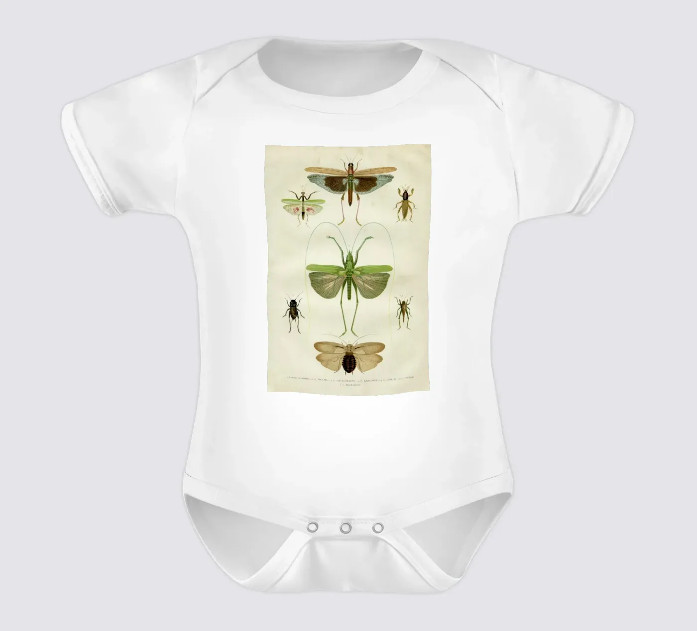Insects body bébé de Flora & Fauna