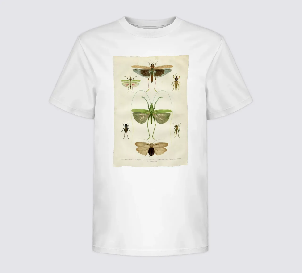 Insects t-shirt bambini da Flora & Fauna