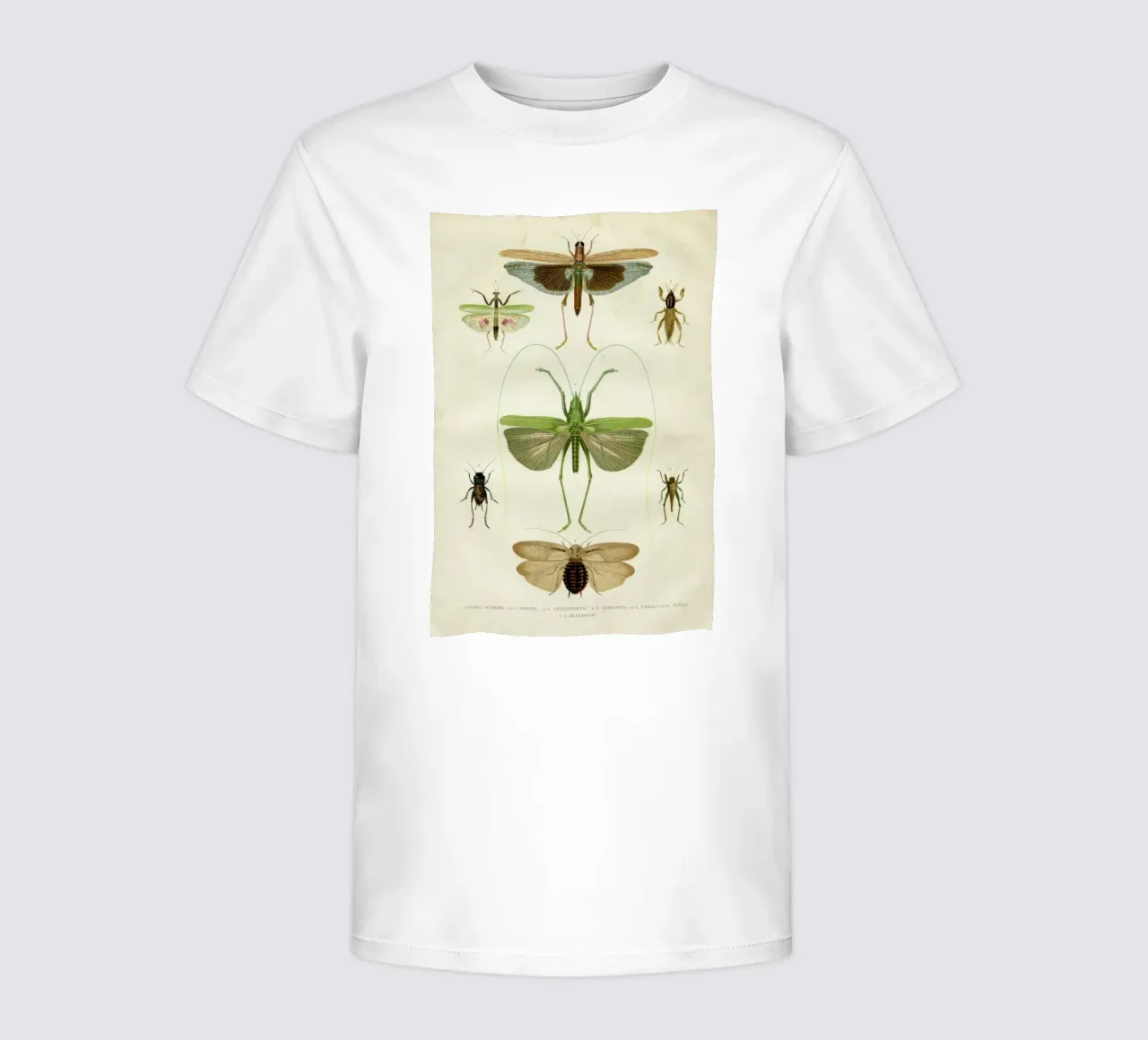 Insects t-shirt bambini da Flora & Fauna