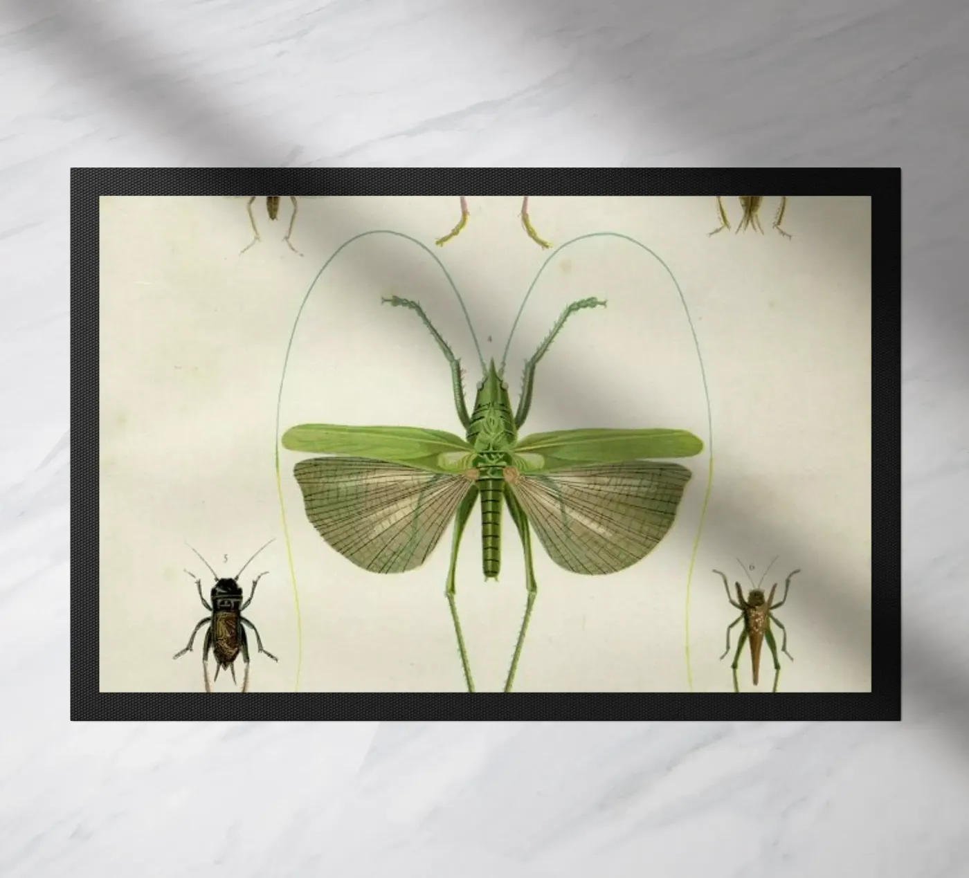 Insects paillasson de Flora & Fauna