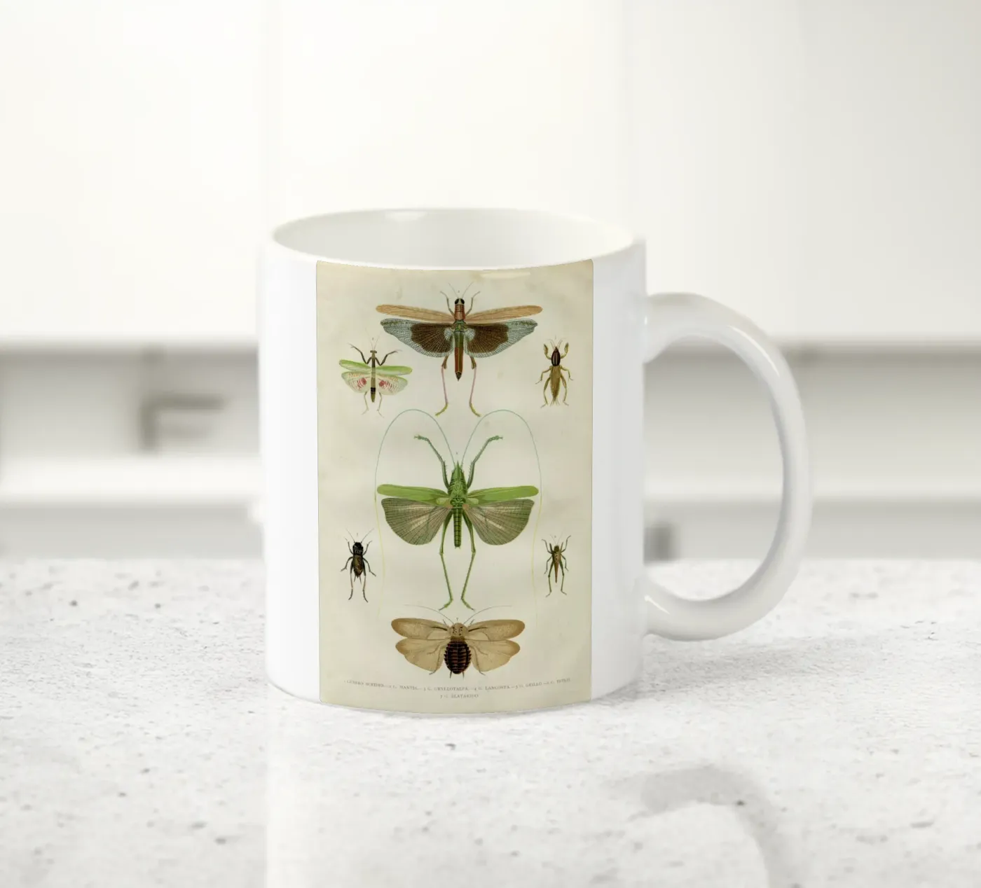 Insects ceramic mug by Flora & Fauna