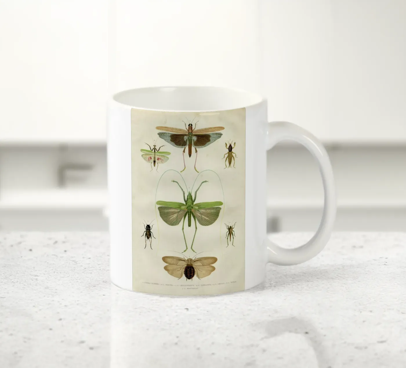 Insects tazza in ceramica da Flora & Fauna