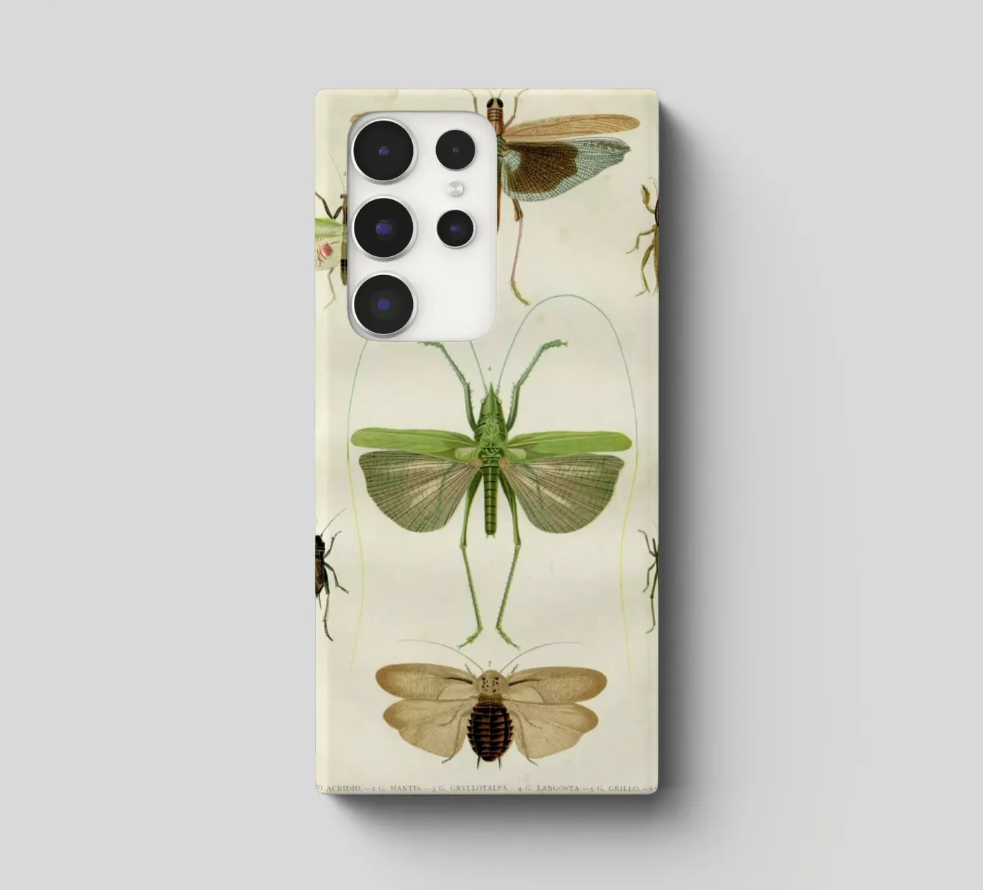 Insects cover samsung da Flora & Fauna