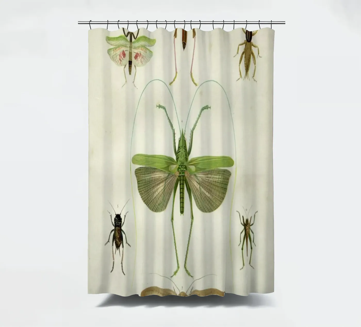 Insects Duschvorhang von Flora & Fauna