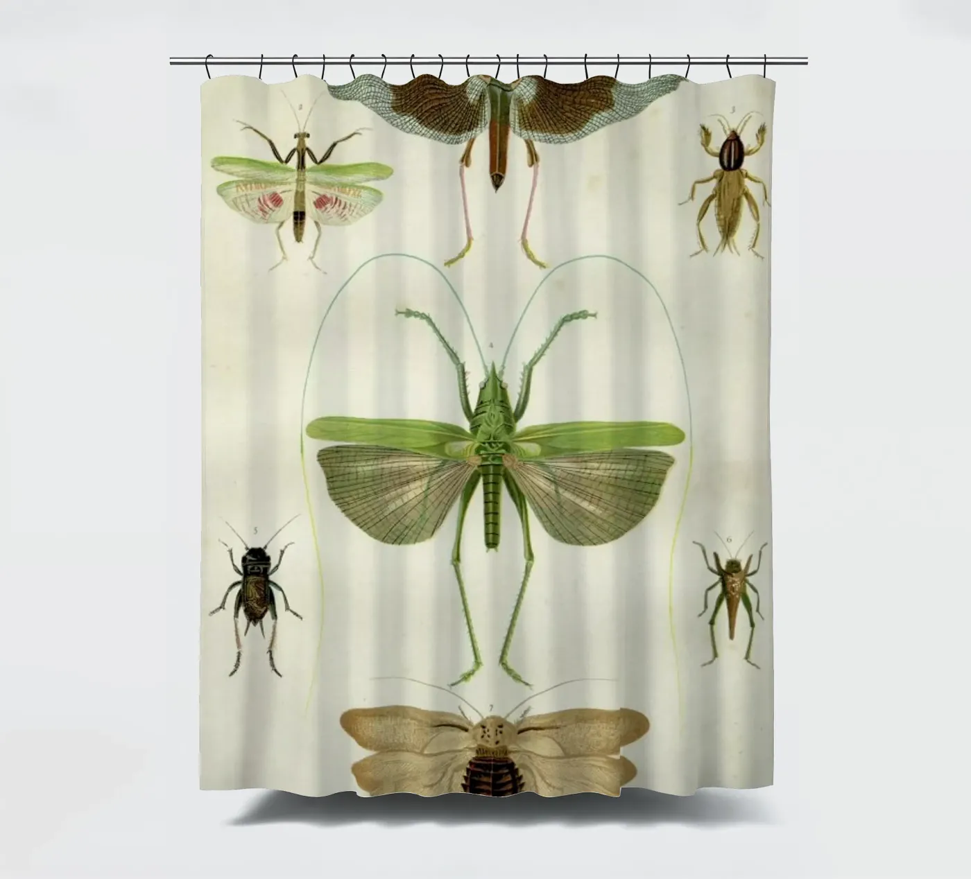 Insects Duschvorhang von Flora & Fauna