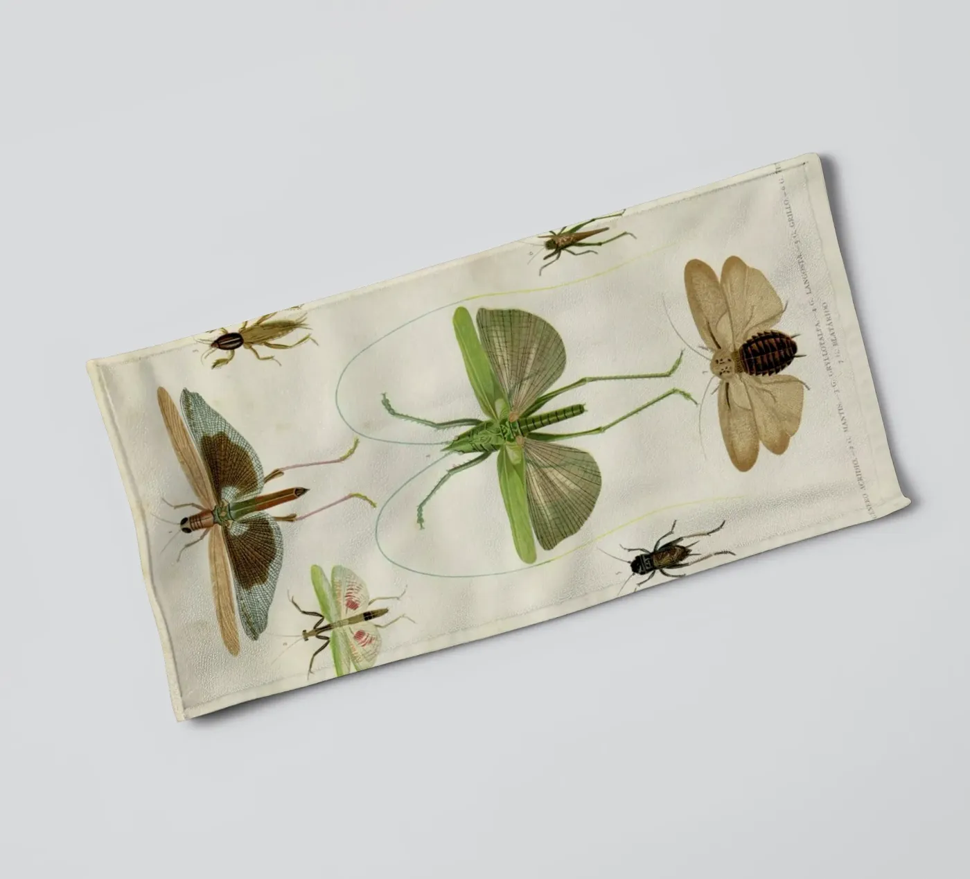 Insects badhanddoek van Flora & Fauna
