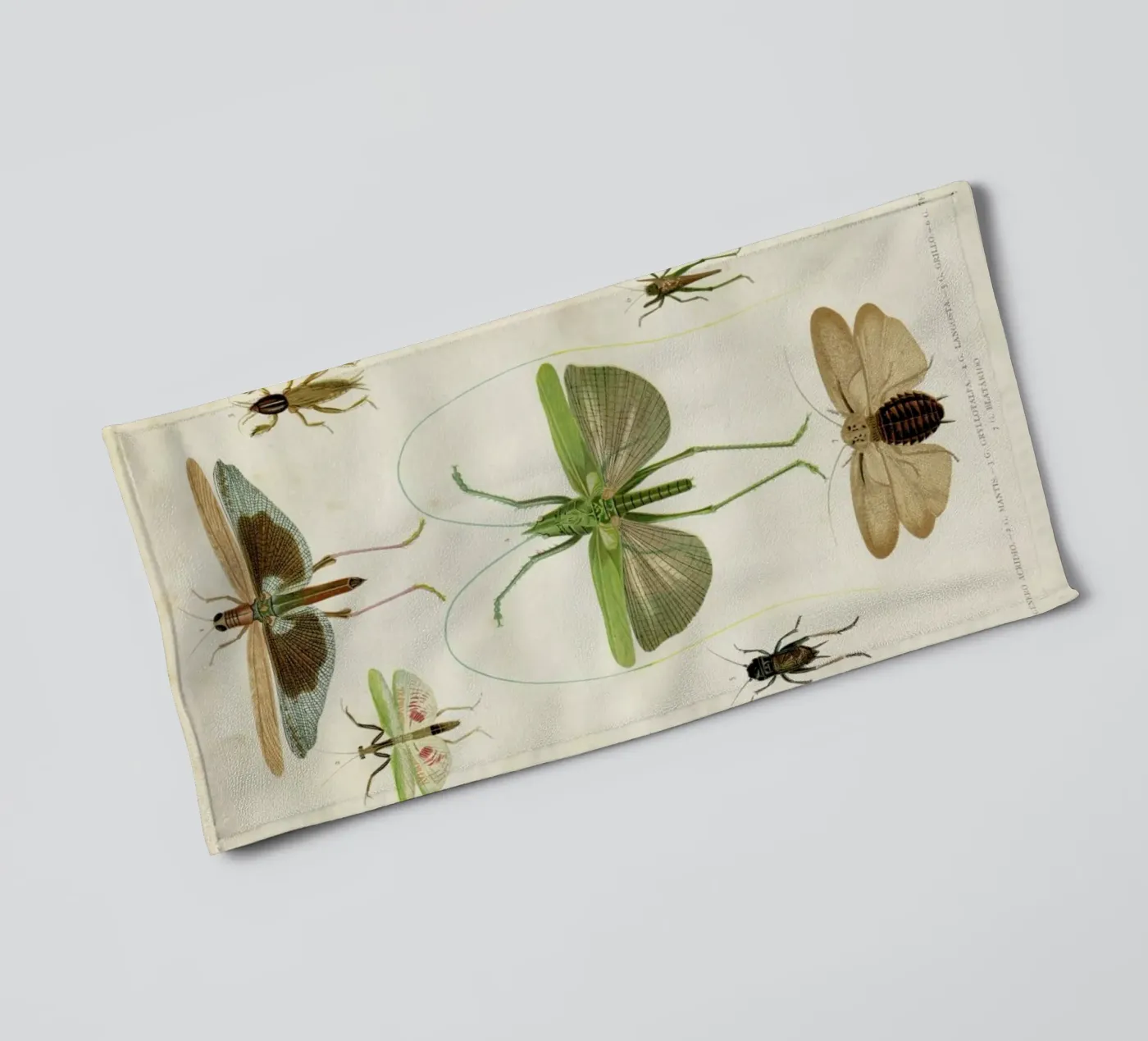 Insects towel by Flora & Fauna