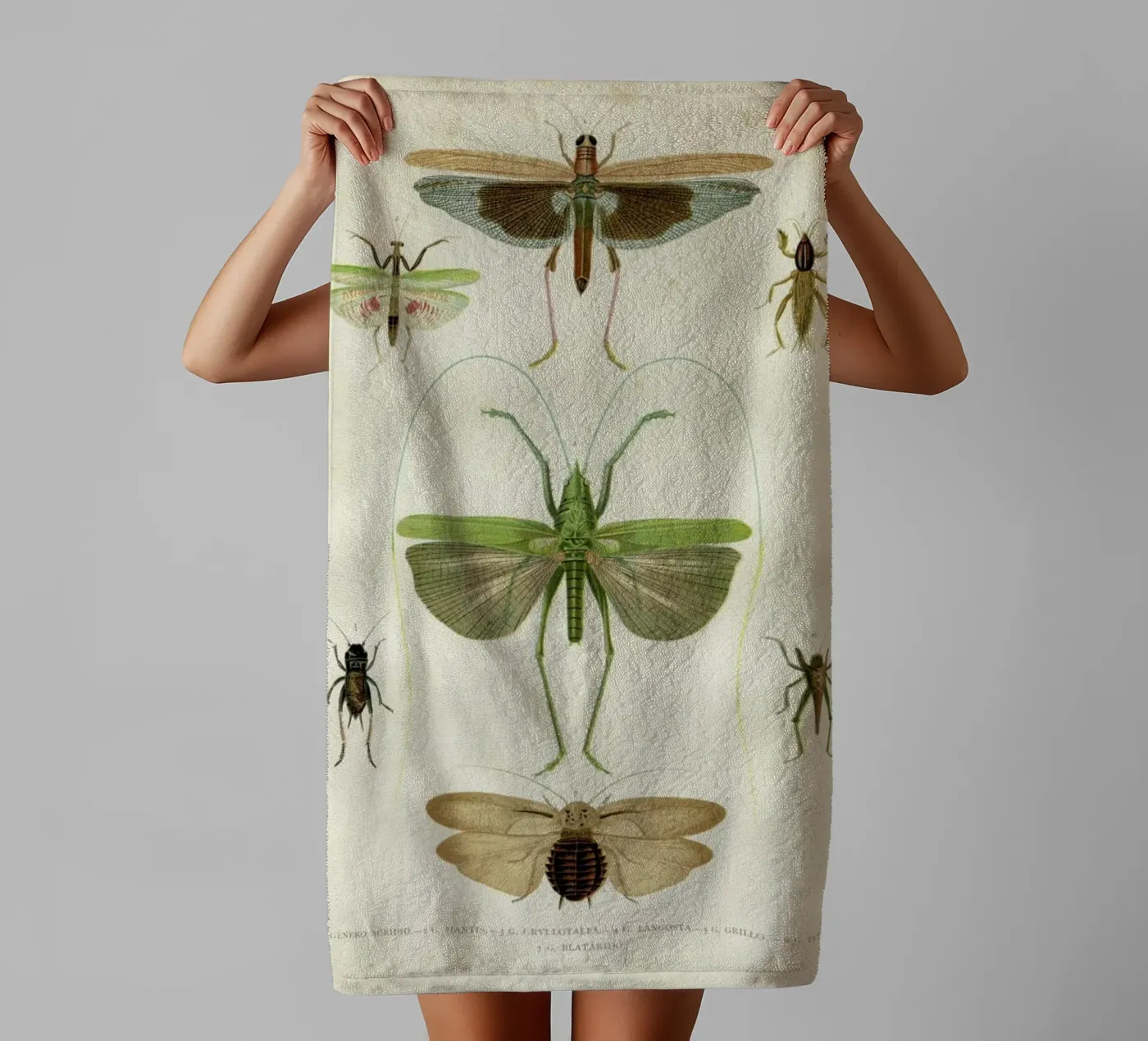 Insects towel by Flora & Fauna