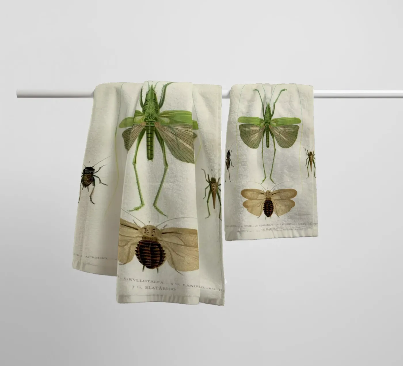 Insects towel by Flora & Fauna