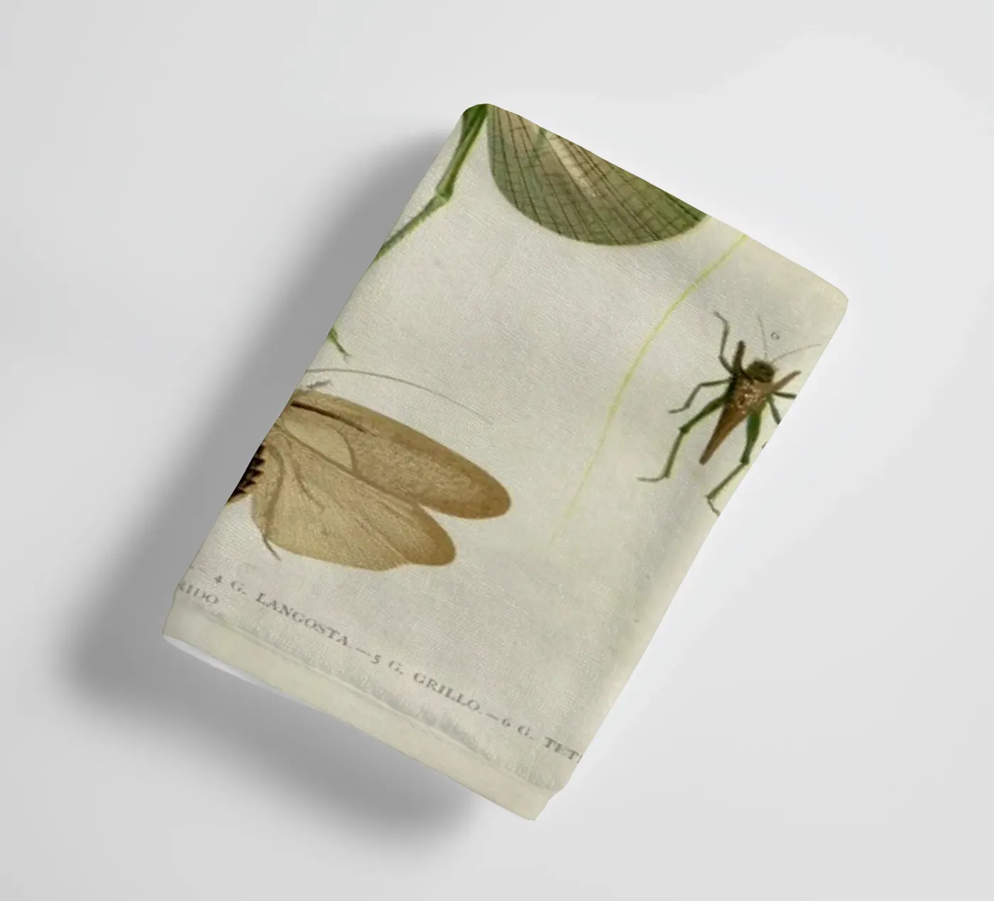 Insects towel by Flora & Fauna