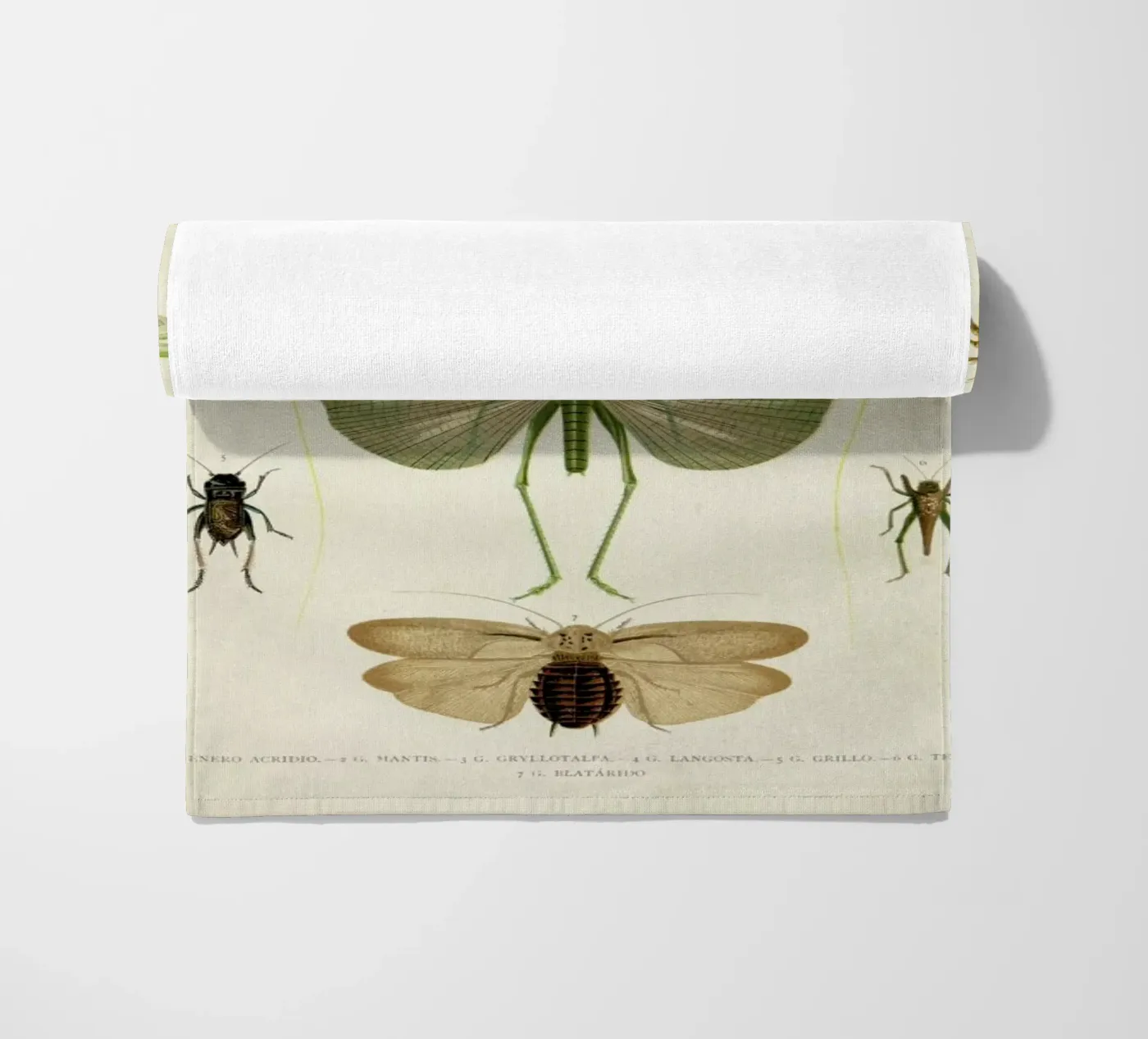 Insects strandhanddoek van Flora & Fauna