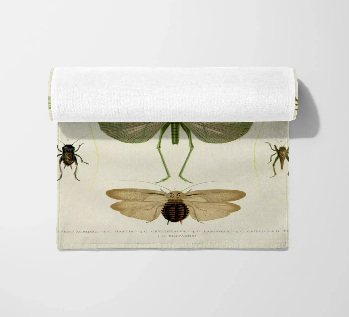 Insects serviette de plage de Flora & Fauna