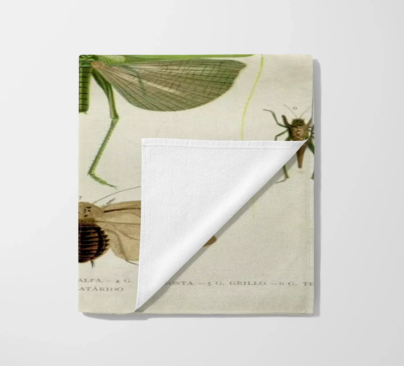 Insects serviette de plage de Flora & Fauna