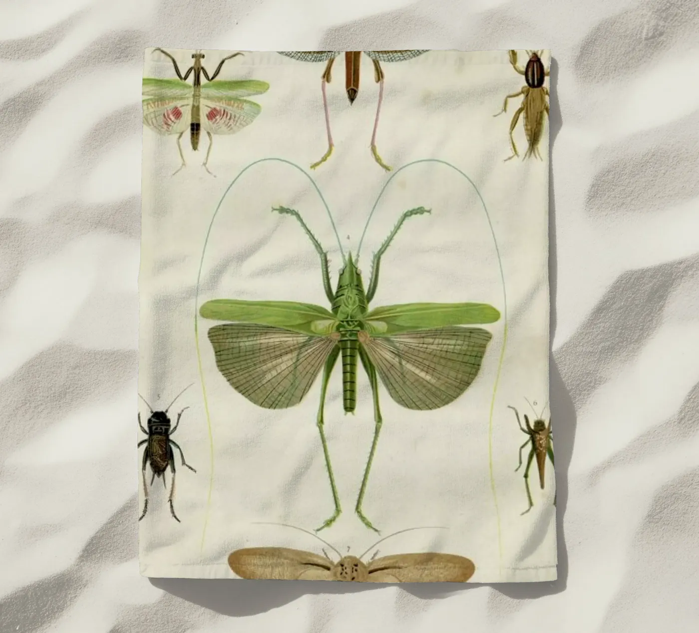 Insects strandhanddoek van Flora & Fauna