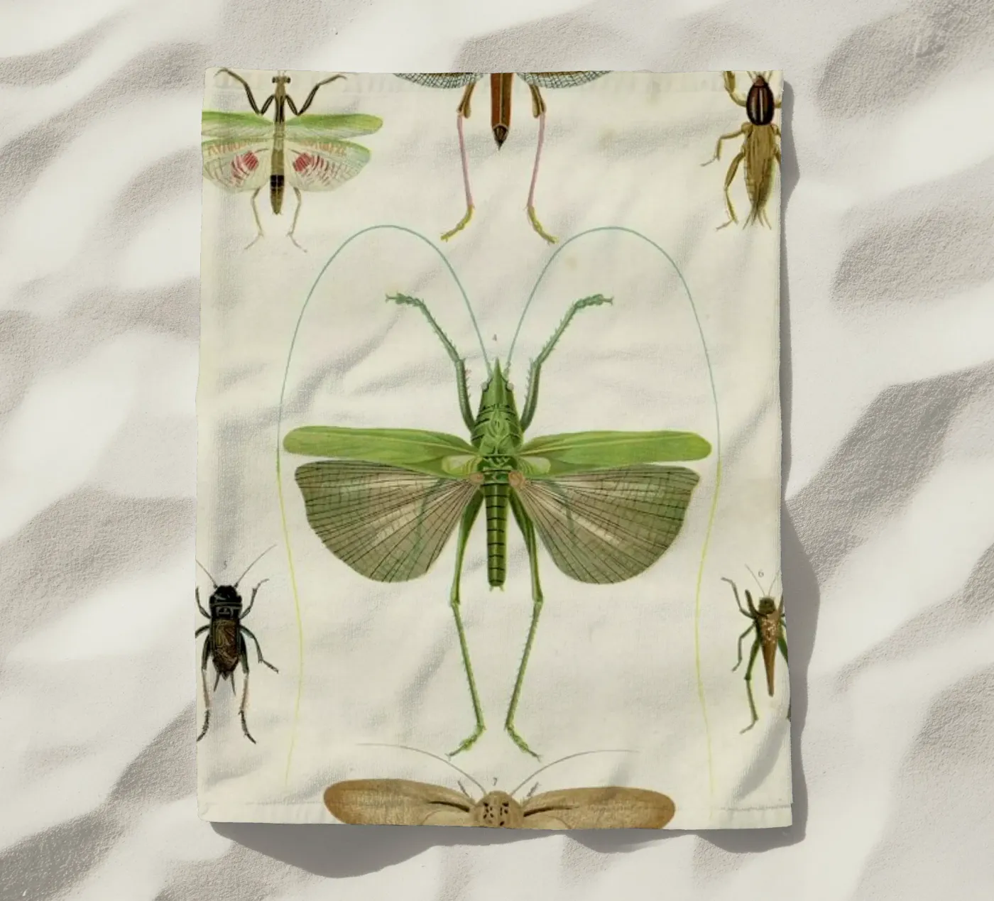 Insects serviette de plage de Flora & Fauna