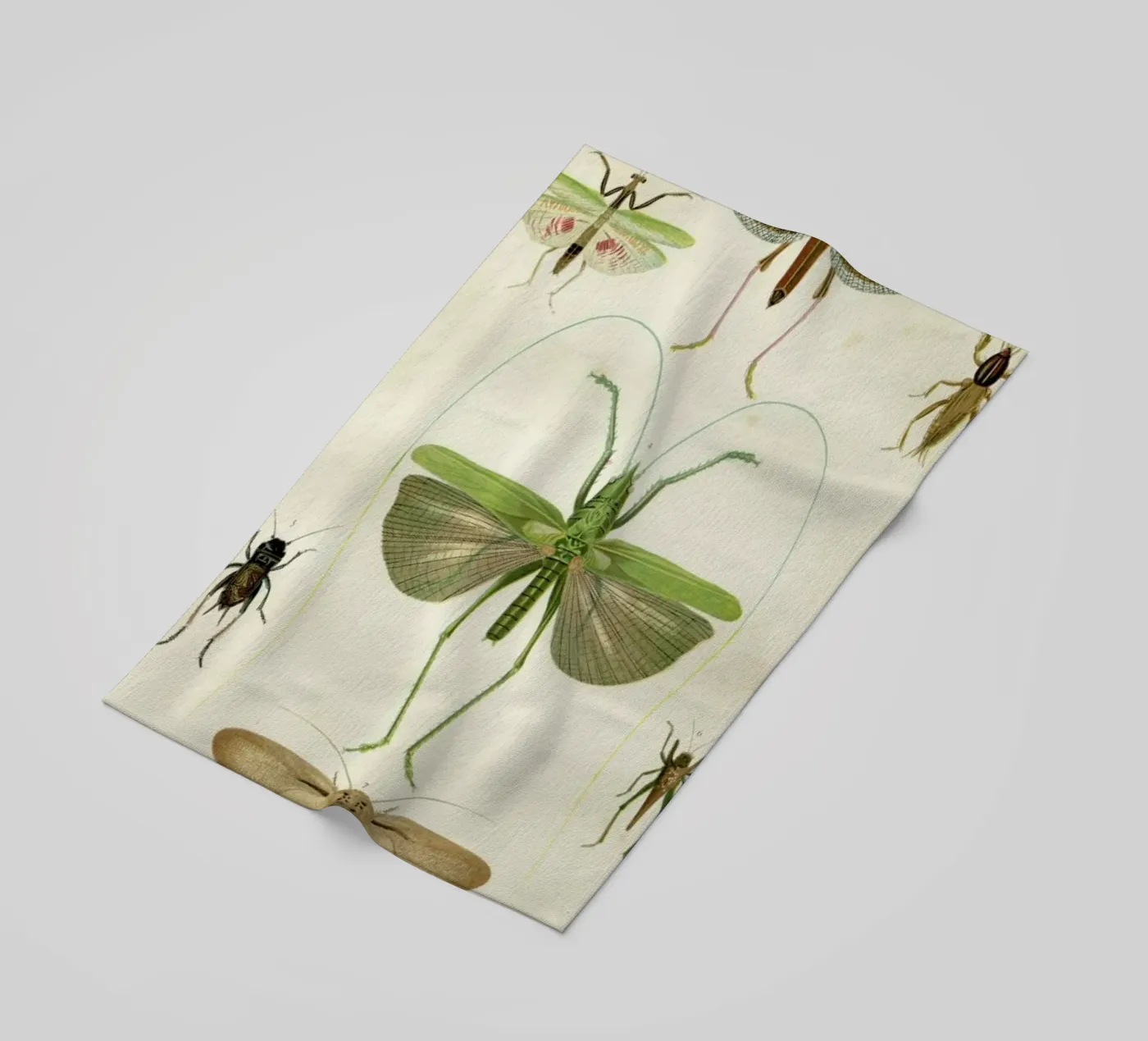Insects serviette de plage de Flora & Fauna