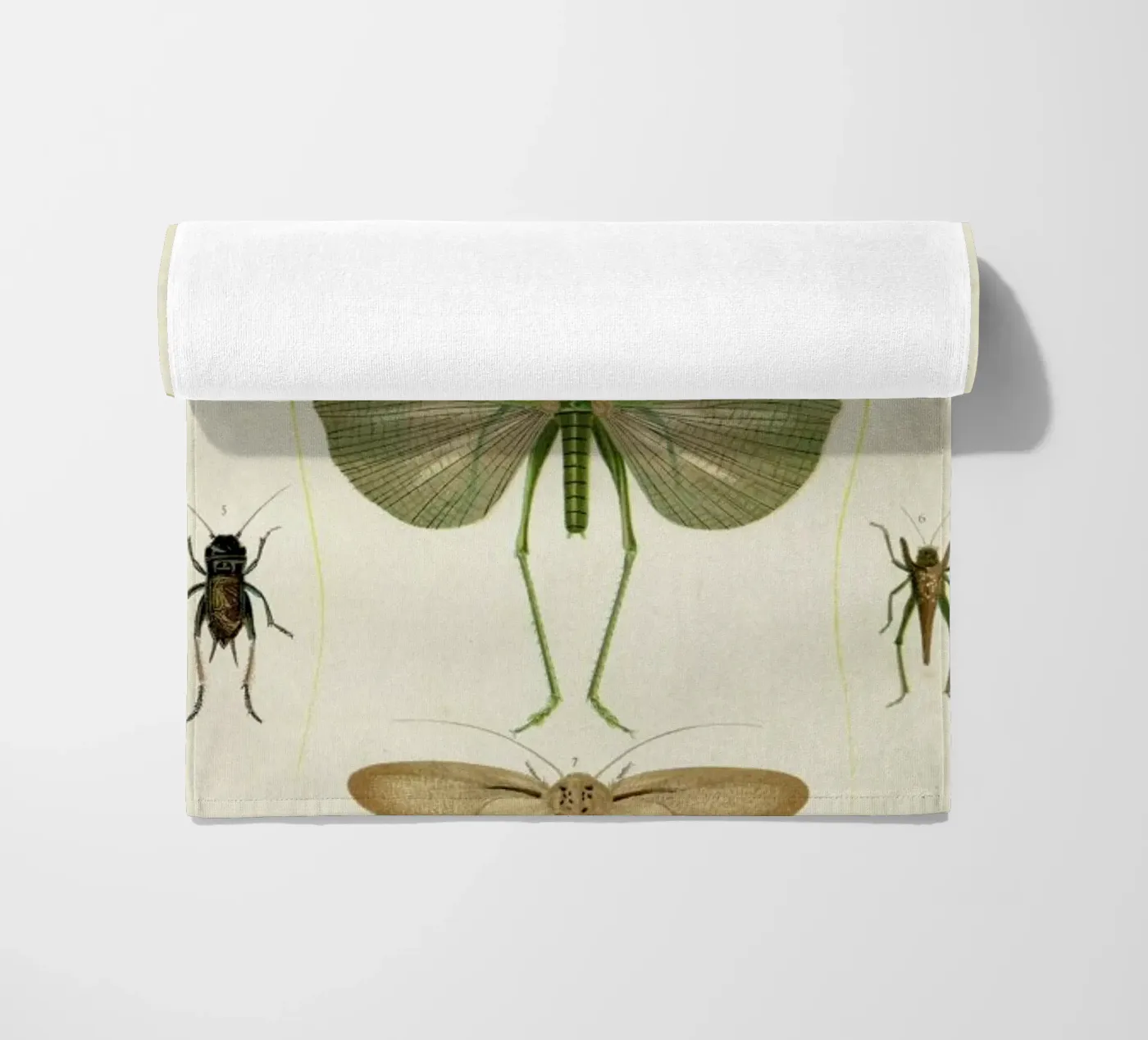 Insects strandhanddoek van Flora & Fauna