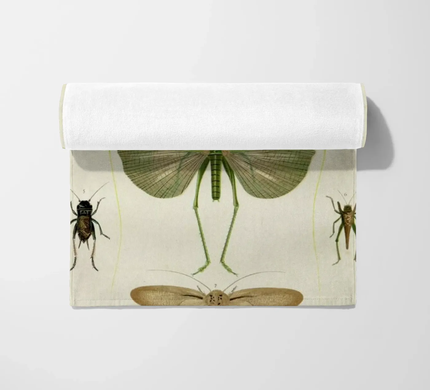 Insects serviette de plage de Flora & Fauna