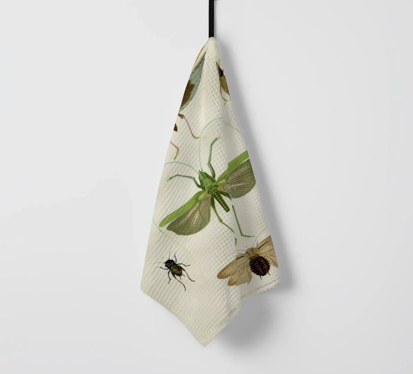 Insects tea towel by Flora & Fauna