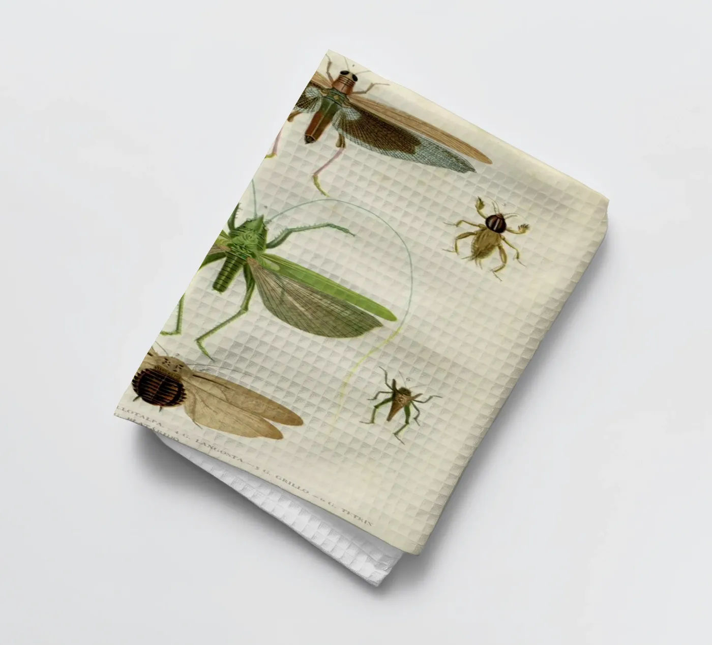 Insects canovaccio da cucina da Flora & Fauna