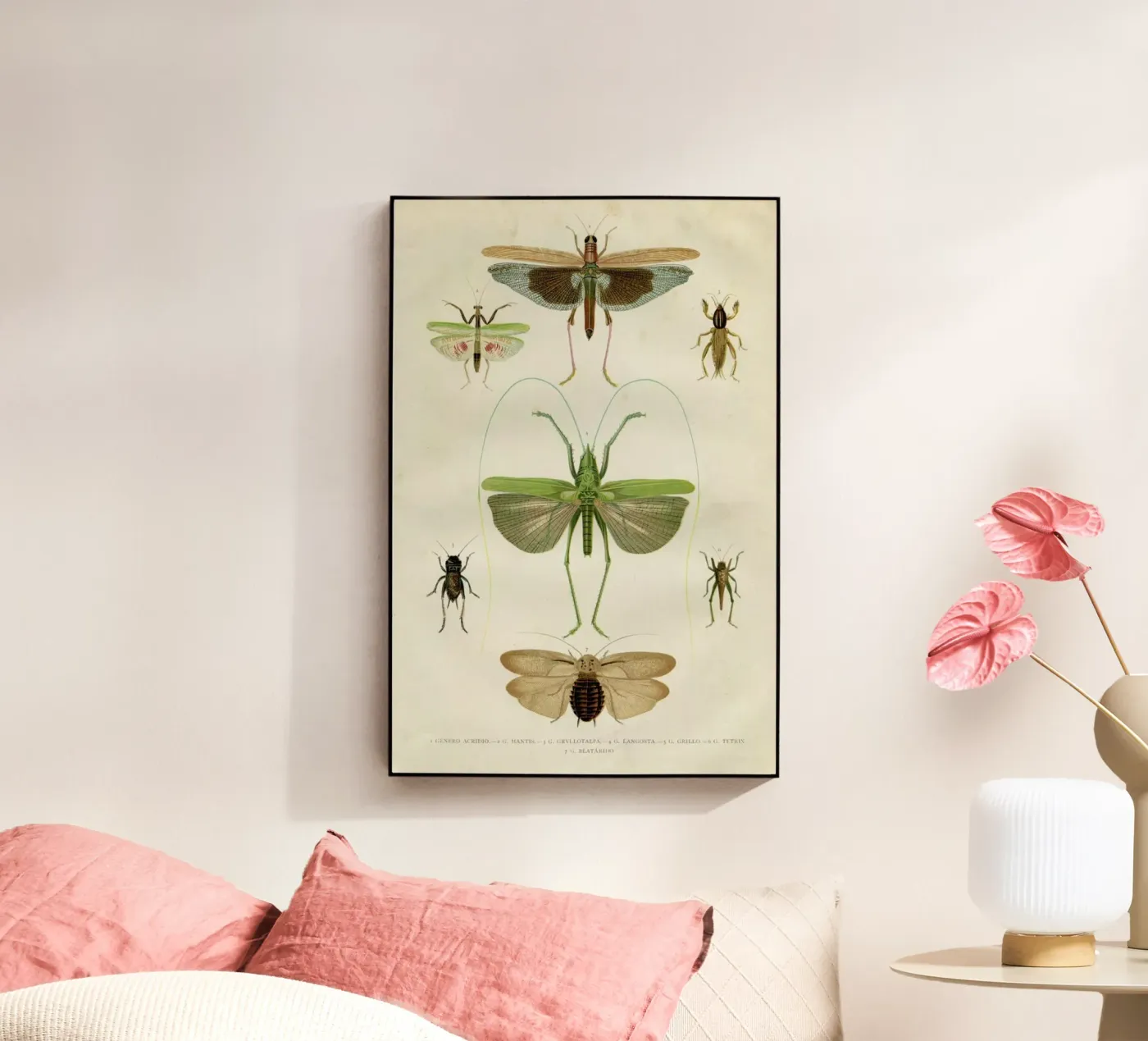 Insects plexiglas de Flora & Fauna