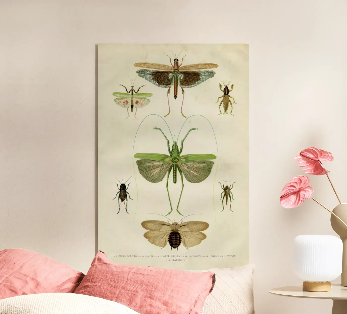 Insects plexiglass da Flora & Fauna