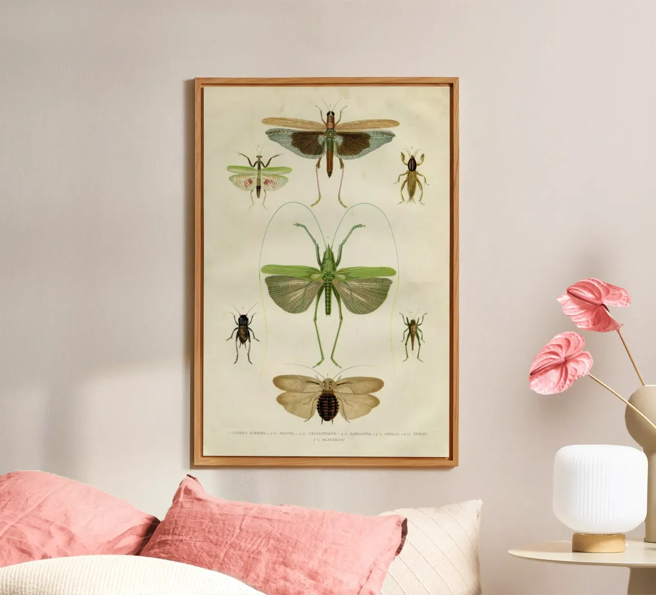 Insects pannello forex da Flora & Fauna