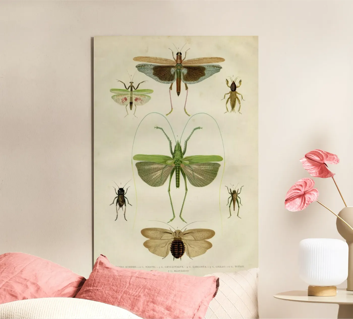 Insects forex plate by Flora & Fauna
