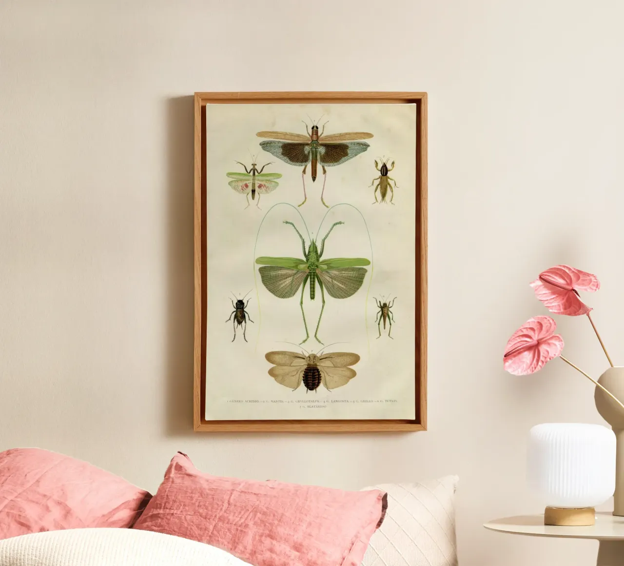 Insects tela da Flora & Fauna