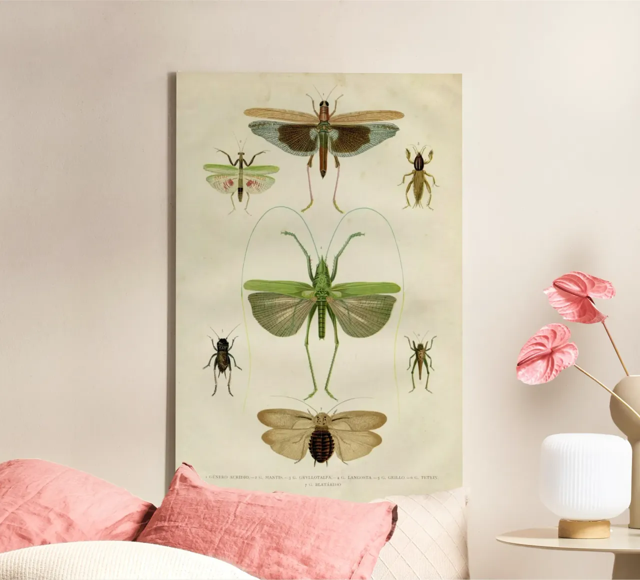 Insects tela da Flora & Fauna