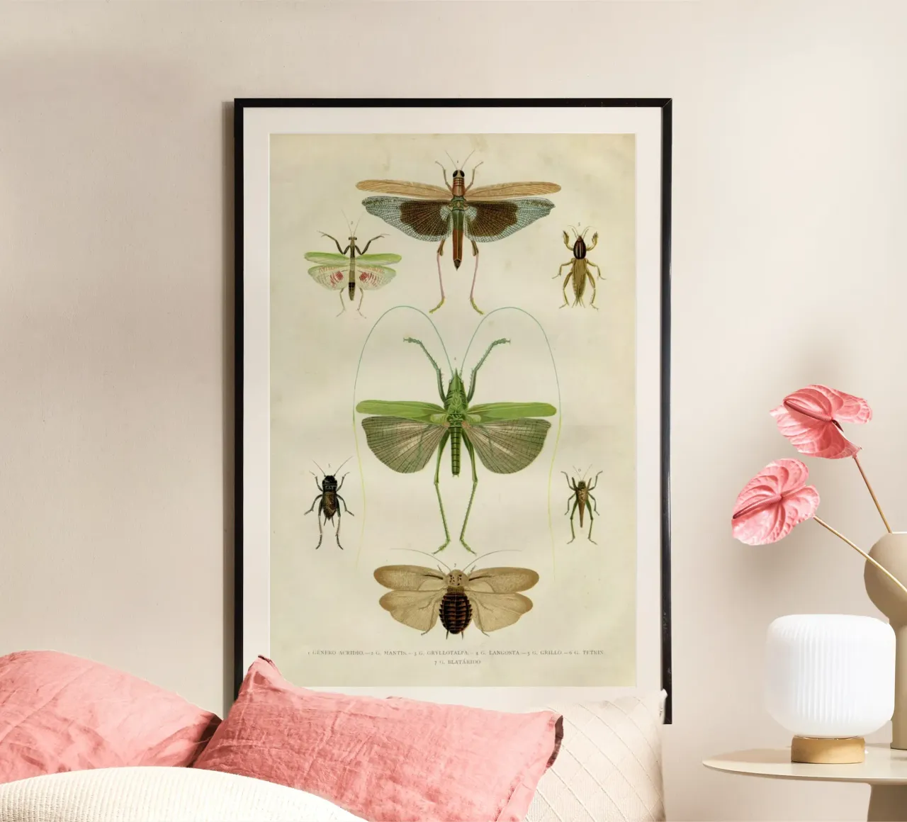 Insects Poster von Flora & Fauna