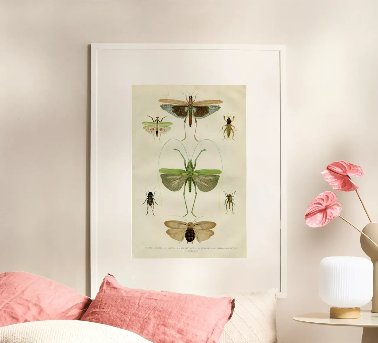 Insects Poster von Flora & Fauna