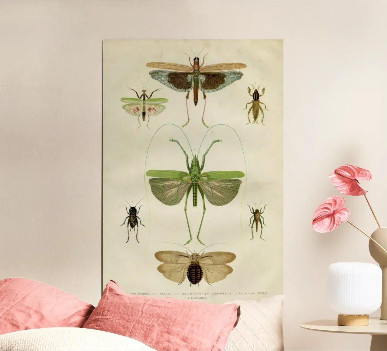 Insects Poster von Flora & Fauna