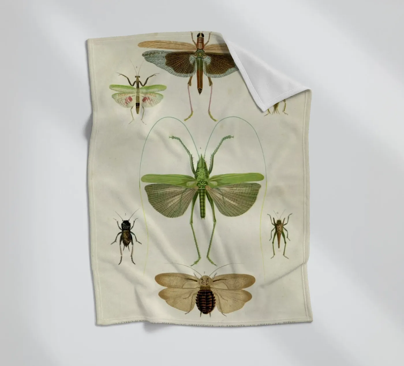 Insects fleecedeken van Flora & Fauna