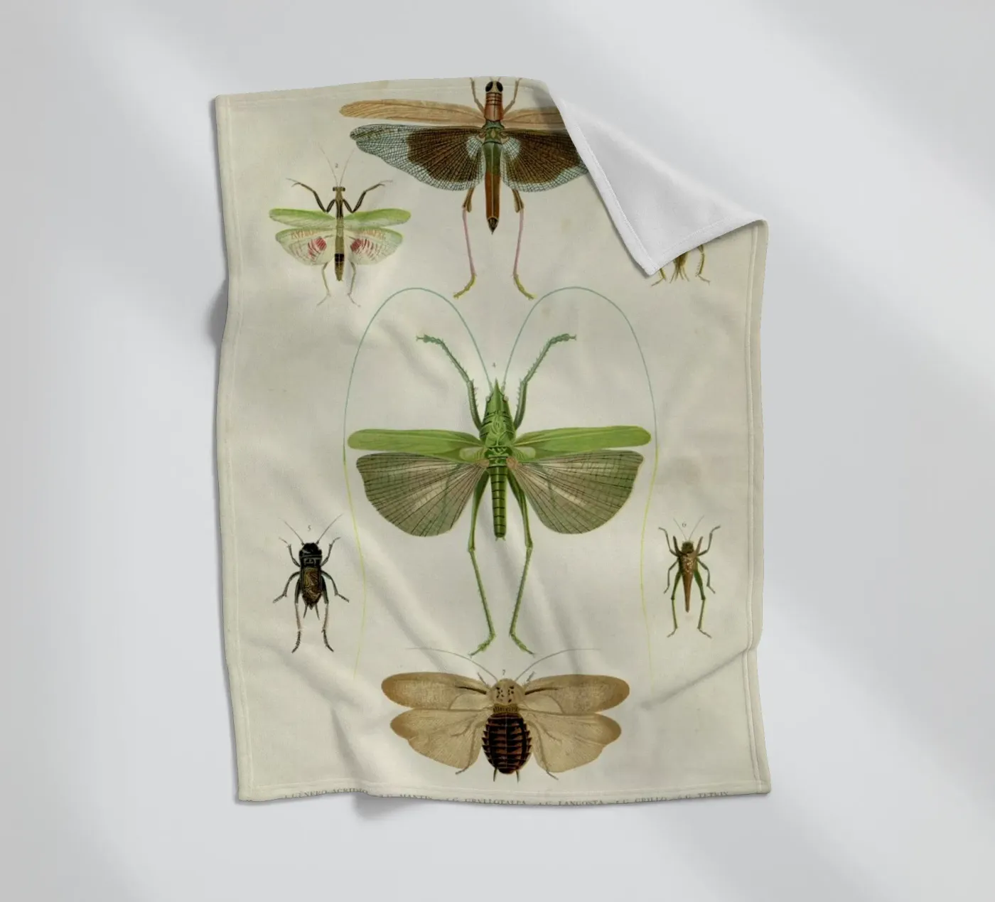 Insects Fleecedecke von Flora & Fauna