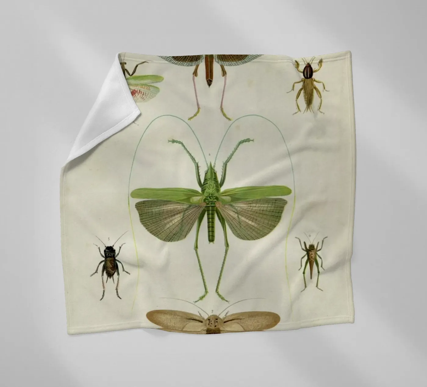 Insects fleecedeken van Flora & Fauna